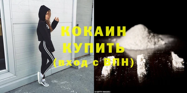 амф Вяземский