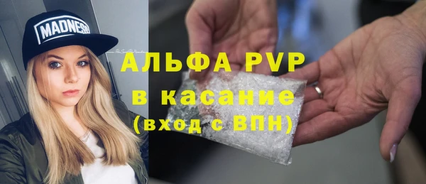 амф Вяземский