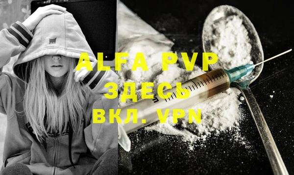 амф Вяземский