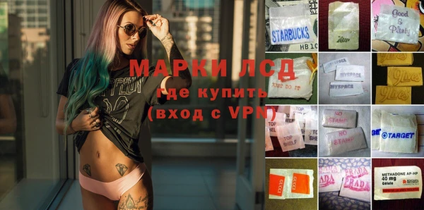 амф Вяземский
