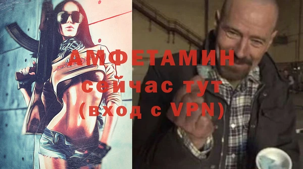 амф Вяземский