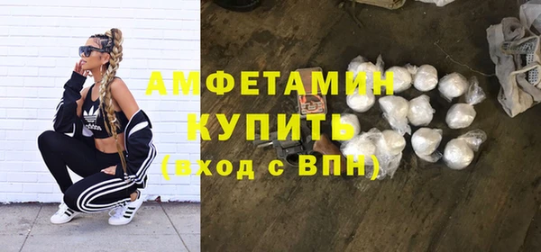 амф Вяземский