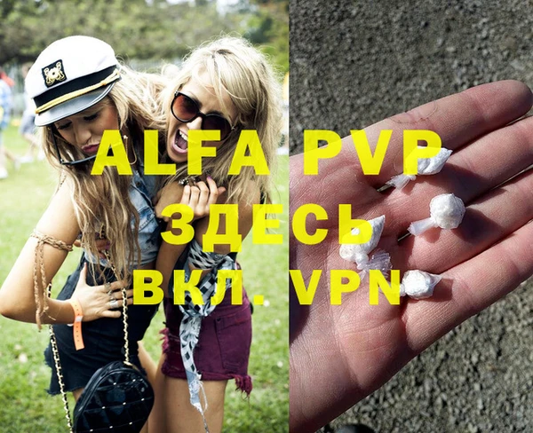 амф Вяземский