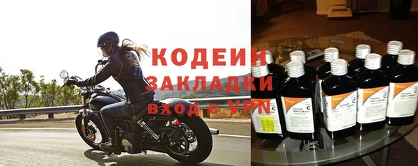 амф Вяземский